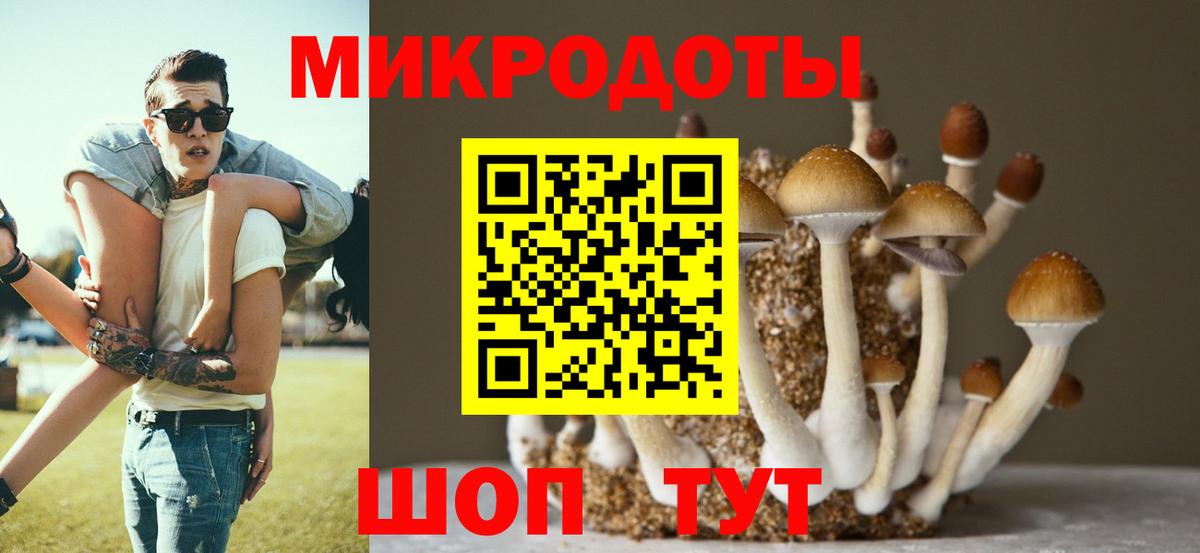 Галлюциногенные грибы Psilocybe Канаш
